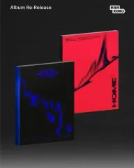 未開封 異常飛行 家 cd まとめ売り 漢路へ