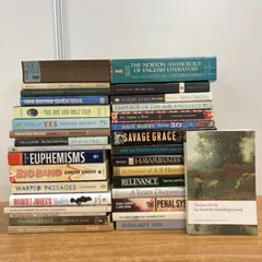 ■01)【1点限り!】多ジャンルの洋書まとめ売り約30冊大量セット/文学/文芸/小説/言語学/英語表現/科学/物理学/B