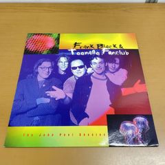 teenage fanclub / RADIO 7