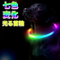 犬用 光る首輪 LED Lサイズ レインボー USB充電式 夜間散歩 安全ライト 点滅 点灯 防水 軽量 サイズ調整 可視性アップ
