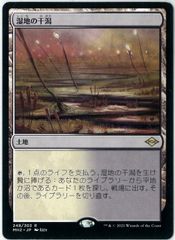 FOIL/MTG/日本語版/グルームレイクの境界/Gloomlake Verge