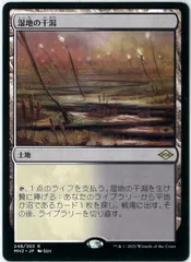2026年最新】湿地の干潟/marsh flatsの人気アイテム - メルカリ