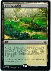 FOIL/MTG/日本語版/グルームレイクの境界/Gloomlake Verge