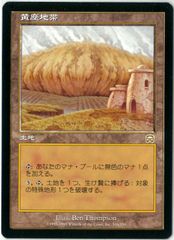 MTG/日本語版/真鍮の都/City of Brass/第5版/5ED 413/449/EX - メルカリ