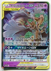 SM【タッグオールスターズ】 053/173 オーロット&ヨノワールGX(RR) SM12a