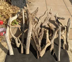 最終価格!!CS10天然流木【中型】10本組爬虫類等レイアウト用品、アク抜き済（沈水しません）