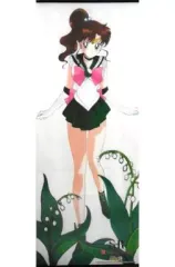 2026年最新】美少女戦士セーラームーン セーラージュピター