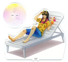 【中古】アクリルスタンド・アクリルパネル 桂小太郎 BIGアクリルスタンド 「銀魂 海の家銀ちゃん×animatecafe」