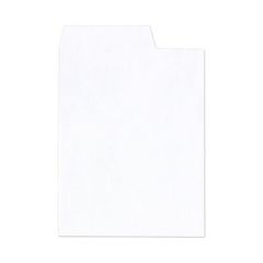 Item thumbnail for item 64d6899e-8cb1-476f-83ed-dd3f639abb04