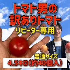 【リピーター専用】トマト男の訳ありトマト4.5キロ