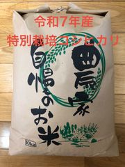 令和7年滋賀県産コシヒカリ 白米20キロ - メルカリ