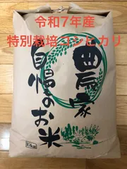 2026年最新】福井 コシヒカリの人気アイテム - メルカリ