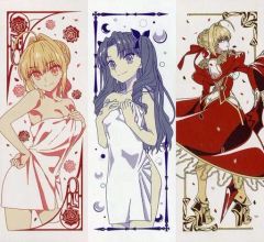 [중고] 수건·수건(캐릭터) 전 3종 세트 페이스타올 [이치반 쿠지 Fate/EXTRA Last Encore] C상