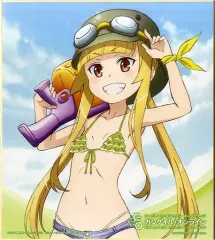 【中古】紙製品(キャラクター) フカ次郎(水着) 色紙 色コレ 「一番くじ ソードアート・オンライン オルタナティブ ガンゲイル・オンライン」 B賞