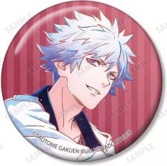 うたプリ anniversary book アニバ アニバ缶 缶バッジ 翔 - メルカリ