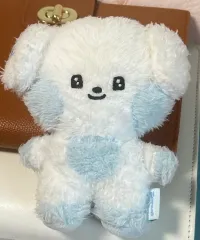 ZEROBASEONE(ゼロベースワン・ZB1・ゼベワン) ギュビン(GYUVIN) キム・ギュビン(KIM GYU VIN) 1期 ギュビン(GYUVIN)