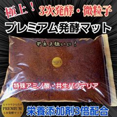 特選！ヒマラヤひらたけ菌糸カップ120ml【10個セット】初令、2令幼虫