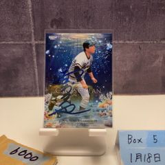 2006 BBM 平野佳寿 45/60 直筆サインカード オリックスバファローズ