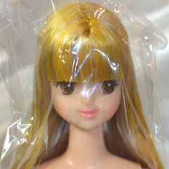 リカちゃんキャッスル おたのしみドール 旧エリー - メルカリ