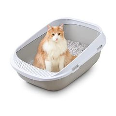 Item thumbnail for item cf3a90df-e8cf-470f-a1dd-793f49f5dd45