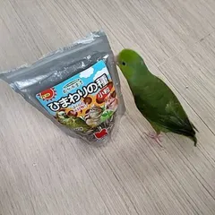 リタ様専用