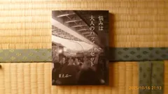 悩みは大人のハッピーセット / エッセイ・日記