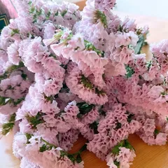 2026年最新】スターチスの人気アイテム - メルカリ