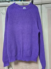 ザラ (ZARA) ニット パープル (L)