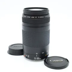 2026年最新】canon 75-300 4-5.6 IIの人気アイテム - メルカリ