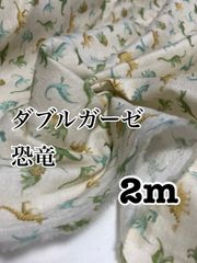 Item thumbnail for item 33357bdc-5098-4d5e-b973-26a29d7c5055