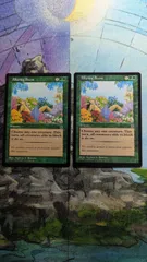MTG　誘いの匂い　ポータル・セカンドエイジ　英語2枚まとめ売り