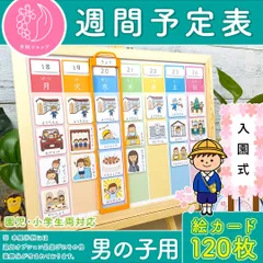 週間予定表 男の子用 お支度ボード スケジュール表 絵カード100枚分 視覚支援 保育教材 幼稚園 療育グッズ