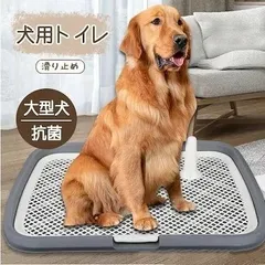 犬 トイレトレー 定番 犬用トイレ トイレ トレーニング マーキングポール付き 足上げ メッシュ付きのサムネイル