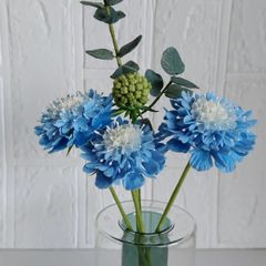 シックな春の切花セット ラナンキュラス スカビオサ 生花 ネコポス