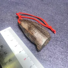 2026年最新】鉄刀木 タガヤサンの人気アイテム - メルカリ