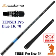 2026年最新】TENSEI pro blue 1k 60の人気アイテム - メルカリ