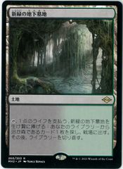 MTG 樹木茂る山麓 オンスロート 日本語 1枚 ① - メルカリ