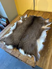 2026年最新】鹿毛皮の人気アイテム - メルカリ