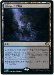 MTG/日本語版/溢れかえる岸辺/Flooded Strand/モダンホライゾン3/MH3
