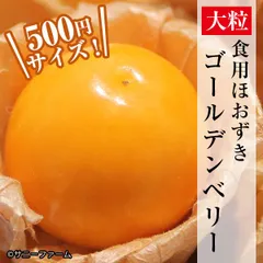 【スーパーフード】甘い大粒食用ほおずきゴールデンベリーの種20粒のサムネイル