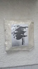 RIIZE 2026 RIIZING LOUD 東京ドーム プレミアムシート 特典