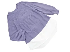 INTERPLANET インタープラネット フェイクレイヤード ニット セーター sizeF/紫 ◇■ レディース