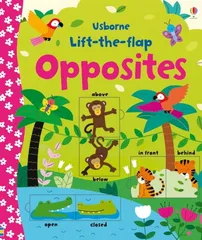 Lift-the-flap Opposites (Young Lift-the-flap)