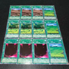 【遊戯王】No.4576 2期字レア 荒野 森 闇 草原 各3枚　計12枚