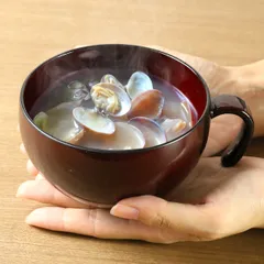 汁椀 赤溜 大 持ち手付き クリーンコート加工 480ml 大きめ 食器 山中塗 日本製 （ 電子レンジ対応 食洗機対応 和食器 割れにくい 器 うつわ お椀 椀 味噌汁椀 味噌汁 お碗 汚れにくい 電子レンジ 食洗機 対応 木製風 プラスチック ）)