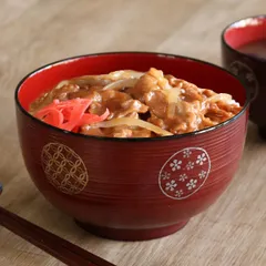 どんぶり 刷毛目 溜 小紋 大 クリーンコート加工 780ml 食器 山中塗 日本製 （ 電子レンジ対応 食洗機対応 和食器 割れにくい 器 うつわ 丼 丼ぶり お椀 椀 お碗 汚れにくい 電子レンジ 食洗機 対応 木製風 プラスチック ）)