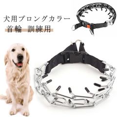 Item thumbnail for item d0afee45-236e-466e-a078-954de1fb9e3f