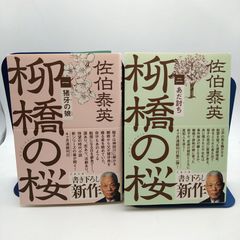 『古澤岩美』裸婦デッサン画集　「EROTICO」 古澤岩美』裸婦デッサン画集 「EROTICO」 EROTICO 古澤岩美・裸婦