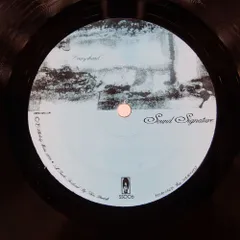 US盤 THEO PARRISH/OVERYOHEAD/SOUND SIGNATURE SS006 12