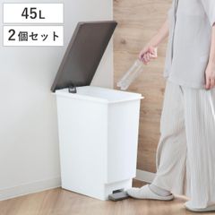 KEYUCA 両開きダストボックス LL（42L）ホワイト ゴミ箱 ケユカ - メルカリ
